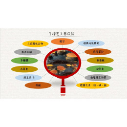 三帖類是之中頂級珍貴的有效成分 三帖類是之中頂級珍貴的有效成分