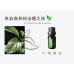 牛樟精油 單瓶 10ml 牛樟精油 單瓶 10ml