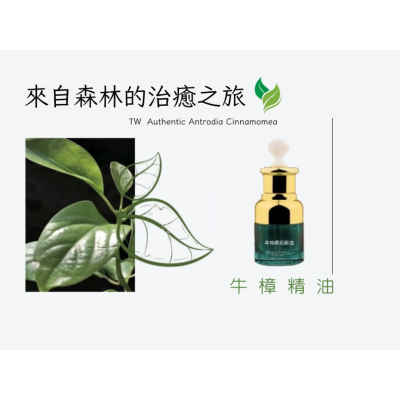 牛樟精油(精裝)20ml 牛樟精油(精裝)20ml