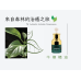 牛樟精油(精裝)20ml 牛樟精油(精裝)20ml