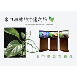 山中傳奇聚寶盆