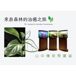 山中傳奇聚寶盆 山中傳奇聚寶盆